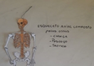 Anatomia e Fisiologia Humanas-LEF 0616