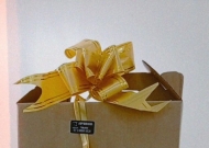 Natal Kit Chimarrão personalizado UNIERGS