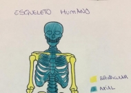 Anatomia e Fisiologia Humanas-LEF 0616